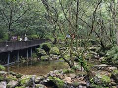 -牛背梁国家森林公园