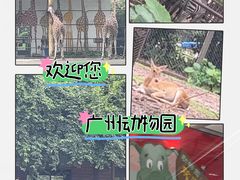 -广州动物园