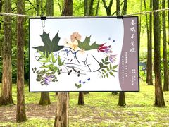 -杭州植物园