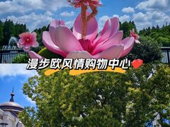 -比斯特上海购物村精品奥特莱斯