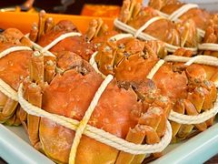 -乡乐园蟹庄·阳澄湖农家乐