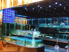 -金翠皇宫粤菜·点心·海鲜(科技园店)