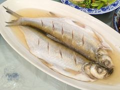 清蒸白丝鱼-芸海阁·农家私房菜(沙家浜景区出口店)