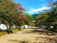-醍醐寺