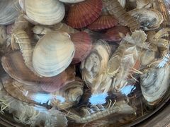 -港畔赶海蒸汽海鲜烧烤自助(仙螺岛店)