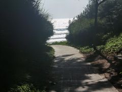 -墨脱石锅椰子鸡•海鲜糟粕醋(榆亚路店)