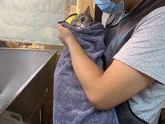 -PETKIT小佩宠物·低压洗护(国顺东路店)