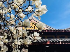 -龙华寺