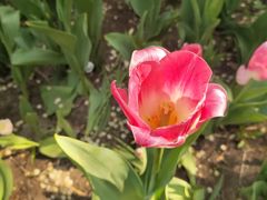 -长春公园(普阳街道)