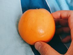 -初蓉丨遇见新川菜(亲贤街荣耀店)