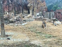 -无锡动物园·太湖欢乐园