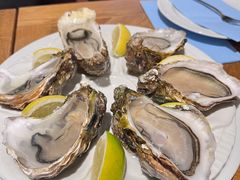 -NORDSEE Frankfurt Fisch Franke