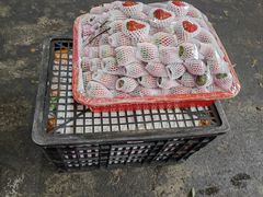 -双福水果批发市场