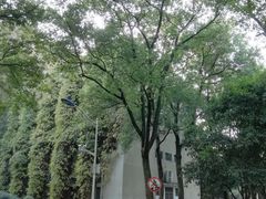 -中南财经政法大学(首义校区)