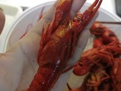 -龙虾风暴(松江店)