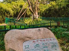 -南京科技馆