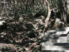 -梧桐山风景名胜区