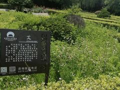 -洛阳市隋唐城遗址植物园