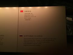 -瓦萨沉船博物馆