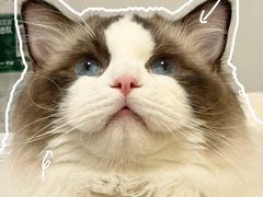 -达爱动物医院·犬猫分区·CT·复杂眼科(远洋山水分院)