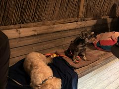 -毛辣果·酸(OHA复兴西路店)