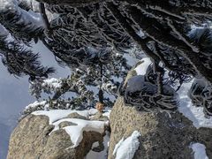 -华山风景名胜区