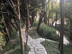 -嘉定紫藤园