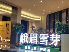 -成都峨眉雪芽大酒店
