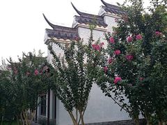 -黎记大排档(慈云路店)