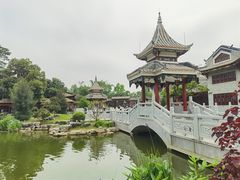 -顺峰山公园