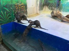 -华夏文旅海洋公园