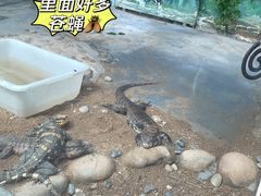 -灵玲国际马戏城