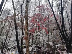 -三块石国家森林公园