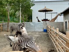 -水上乐园·欢乐世界