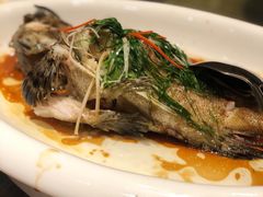-东方棕泉·洗浴·按摩·美食国际水疗会所(福田店)