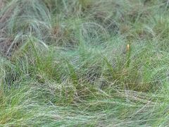 -中国天府农业博览园