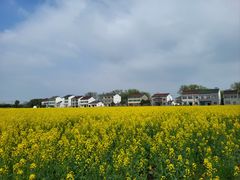 -天乐农家鱼头王(天目湖店)