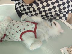 -怪兽屋·羊驼·猫咖·狗咖(俊华广场店)