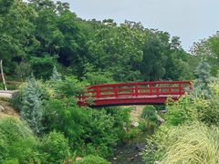 -羊山湖公园