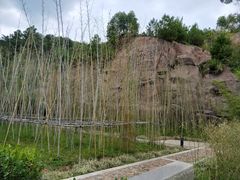 竹园-神光山国家森林公园