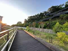 -福道