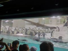 -大连圣亚海洋世界