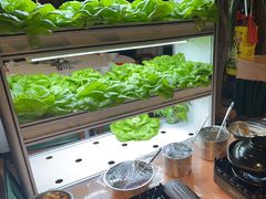 -宋庄魁元艺术餐厅