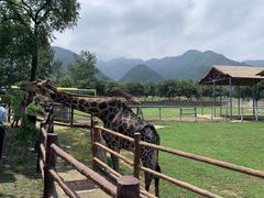-西安秦岭野生动物园