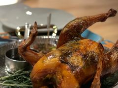 -一棵树·意大利西餐厅One Tree(新城店)