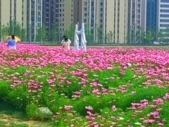 -汉江湾体育公园