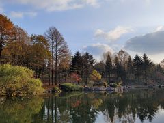-四明山国家森林公园