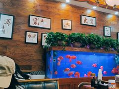 -张川人•甘肃天水麻辣烫(北医三院店)