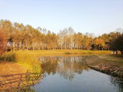 -东郊湿地公园