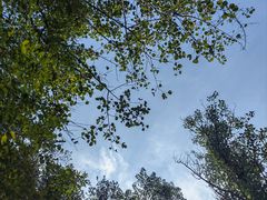 -蟠龙山长城景区